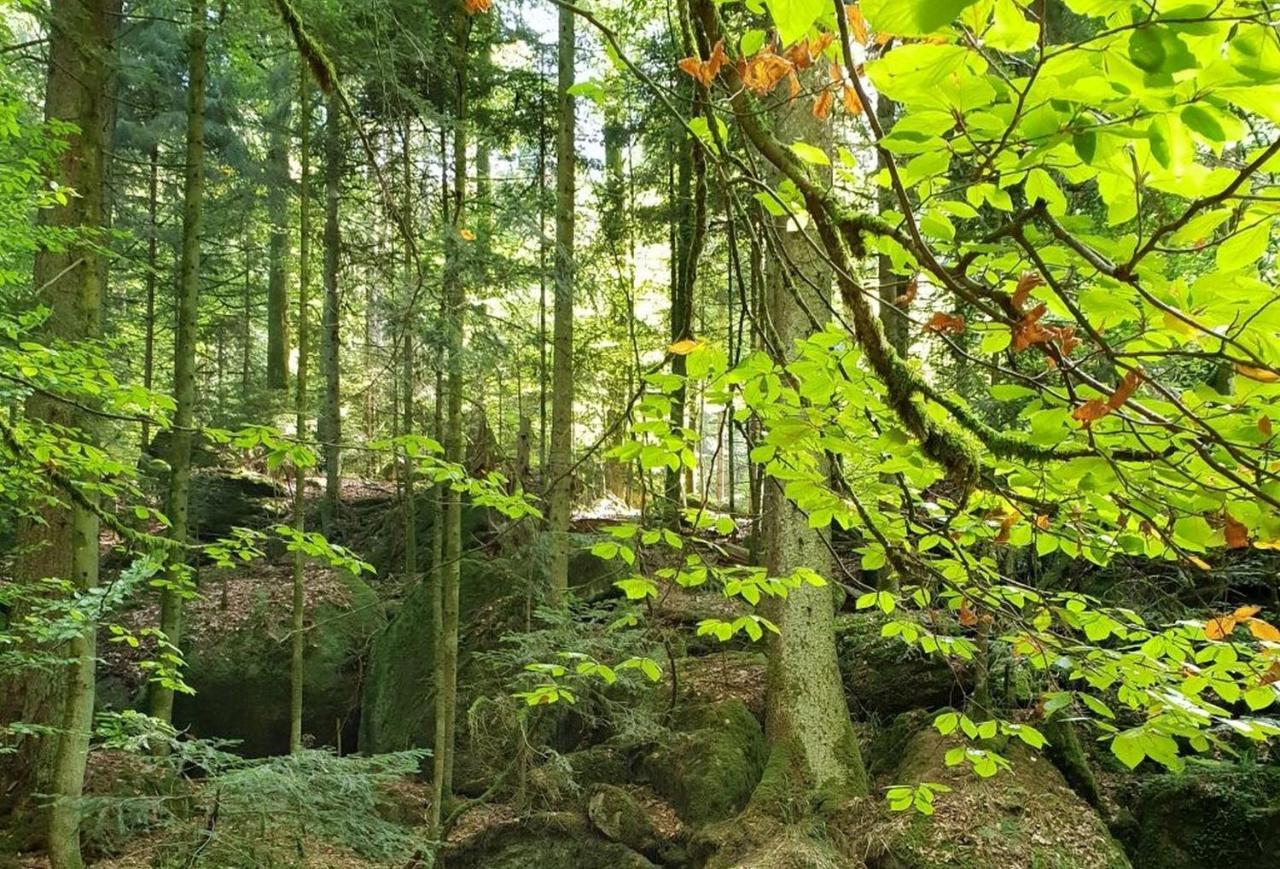 Ferienwohnung Paradies Weier Exteriör bild
